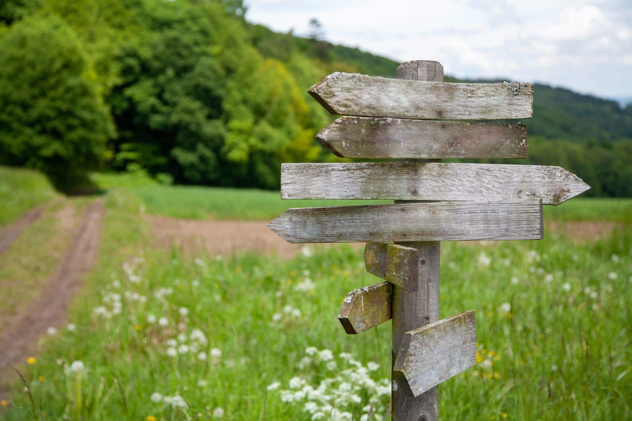 Crossroad Moments: How To Flourish In Times Of Change